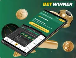BetWinner Withdrawal Options A Comprehensive Guide