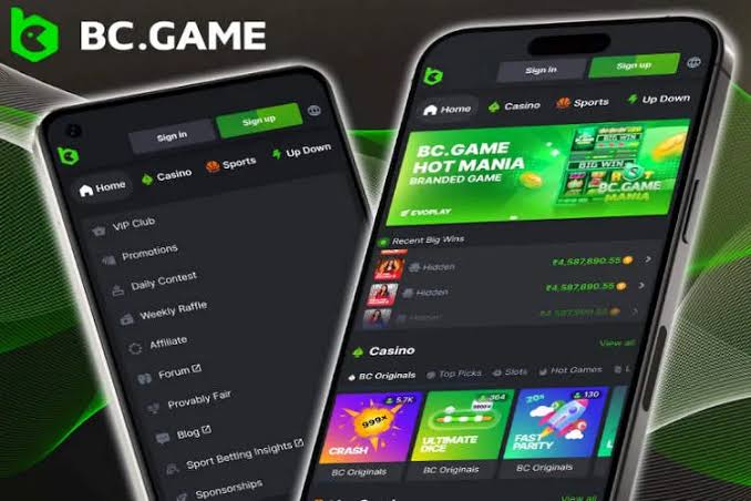 BC.Game Mirror Access Ensuring Seamless Gaming Experience