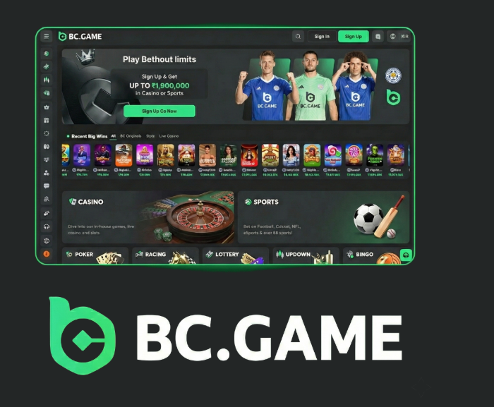 Exploring the BC.Game App for Android A Comprehensive Guide